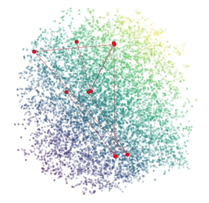 An image showing an the nearest neighbours in an embedding space map